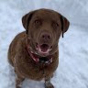 Meet your Posher, Diane